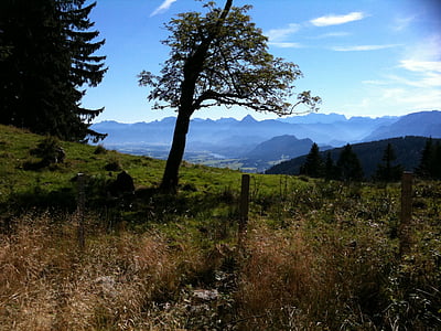 allgäu, pfronten, alpine pointed, mountains, ammer mountains, mood, tree
