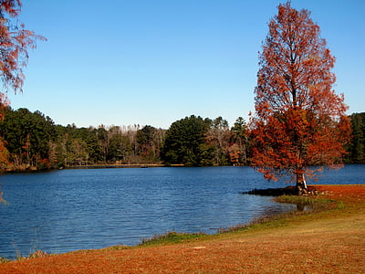 озеро, воды, деревья, Природа, Осень, пейзаж