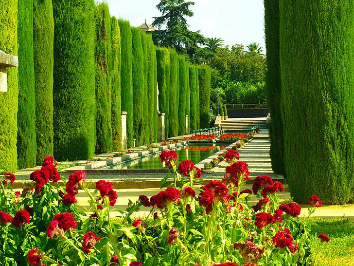kert, Cordoba, növényzet, virágok, tó, Andalúzia, Spanyolország