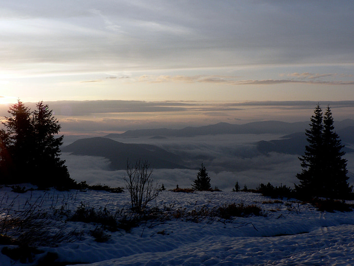 Slovacchia, Al mattino, nuvole, Fatra, inverno, chiaro, montagne