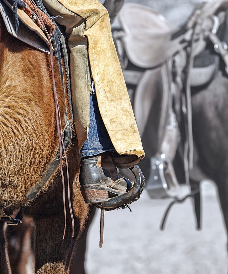 støvel, cowgirl, hest, tack, salen, equine, riding