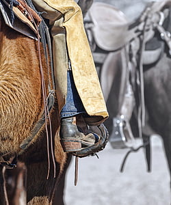 boot, cowgirl, ló, odaszögez, nyereg, ló, lovaglás