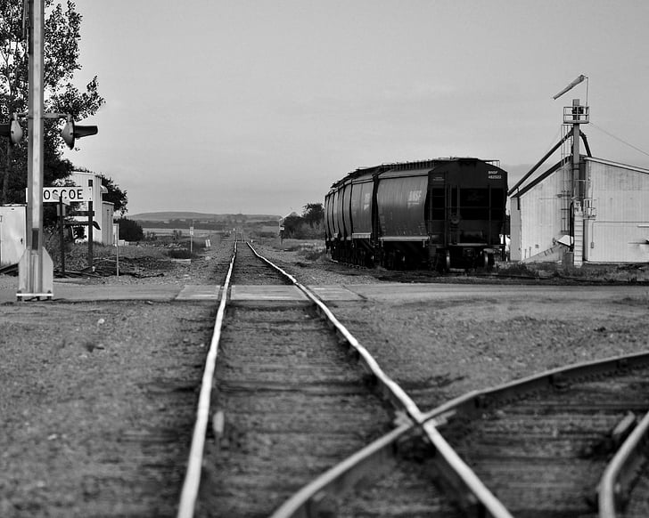 τρένο, εξοχή, τοπίο, χώρα, μεταφορά, ταξίδια, σιδηροδρόμων