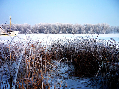 upės, žiemą, salelę, mėlyna, dangus, šviesus, Volga