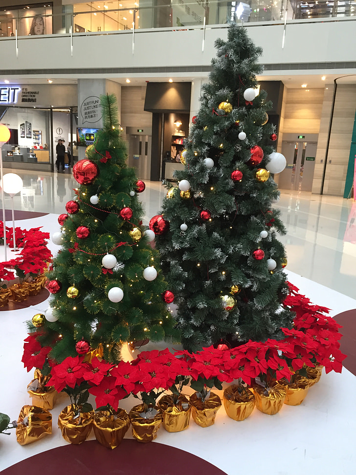 julaften, Christmas, Kjøpesenter, Plaza, shopping, kommersielle, blomst