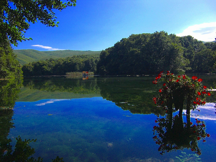 Macedonia, Lago, agua, reflexiones, bosque, árboles, maderas