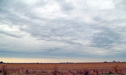 Indiana, lauks, rudens, kritums, saimniecības, ainava, lauku