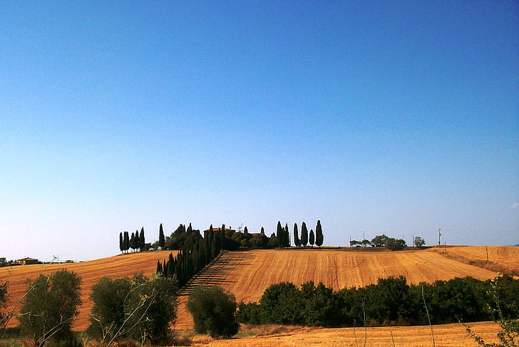 tuscany, landscape, house, blue, sky, cypress, agriculture