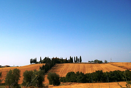 Tuscany, pemandangan, rumah, biru, langit, Cypress, pertanian