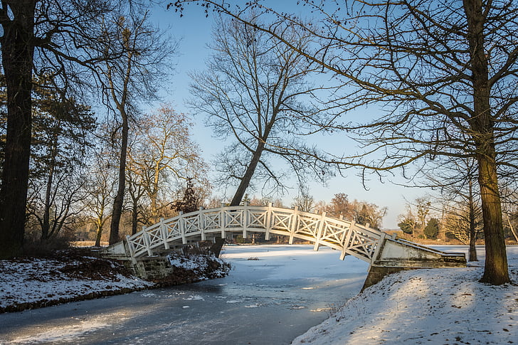l'hivern, Parc, Parc wörlitz, fred, neu, arbres, paisatge