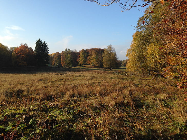 hösten, Skåne, naturen