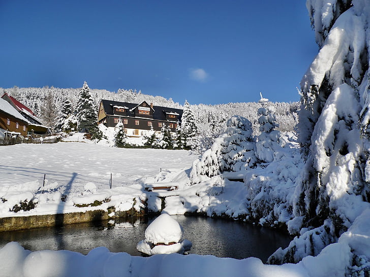 Tannenhof, žiemą, tvenkinys, žiemos svajonė, žiemos, saupsdorf, nuo užšalimo