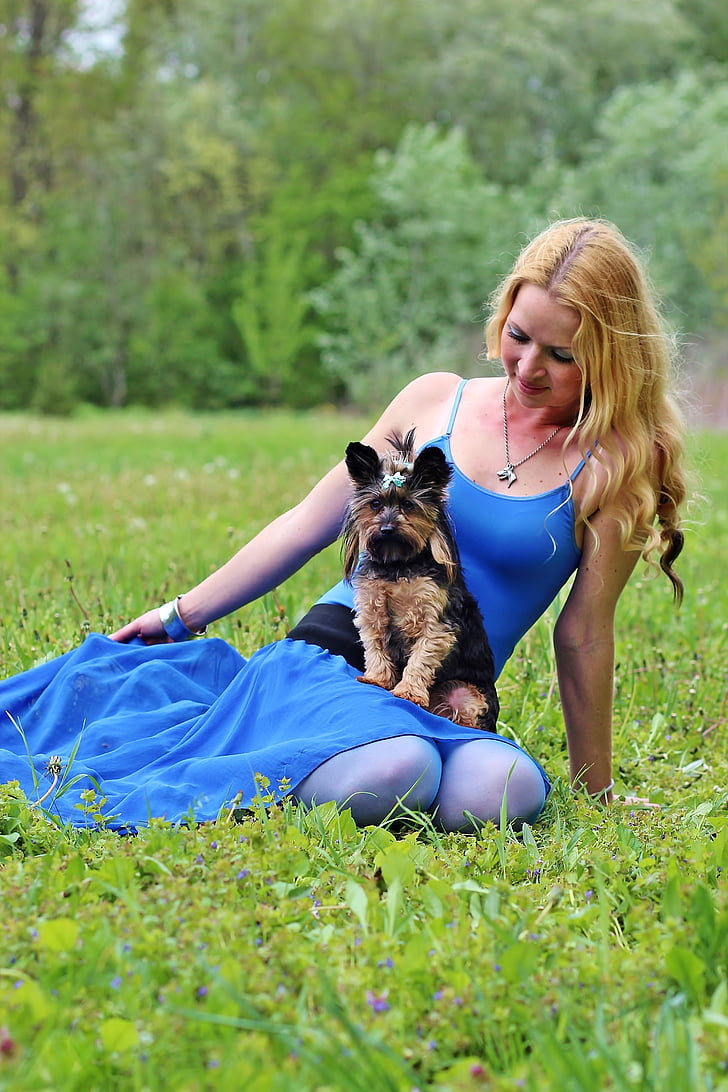 dogs, woman and dog, yorkie, blonde woman, lie, beauty, dream