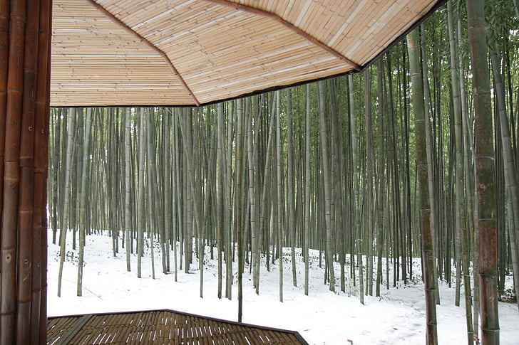 estado-da-rim ganhou, Namwon, bambu, Miradouro, Inverno, neve