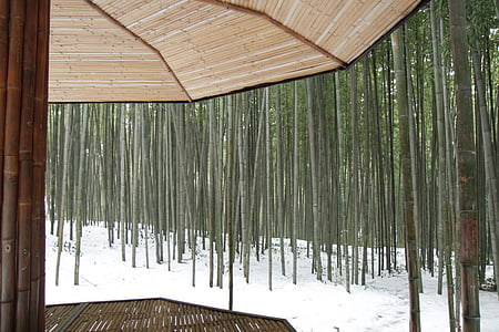 rim võitis, namwon, bambusest, Belvedere, talvel, lumi