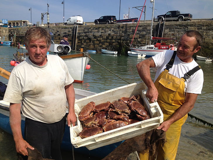 žvejai, krabai, Newquay