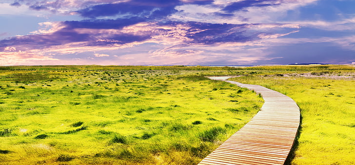 landscape, sunny day, sky, nature, summer, outdoor, sunlight