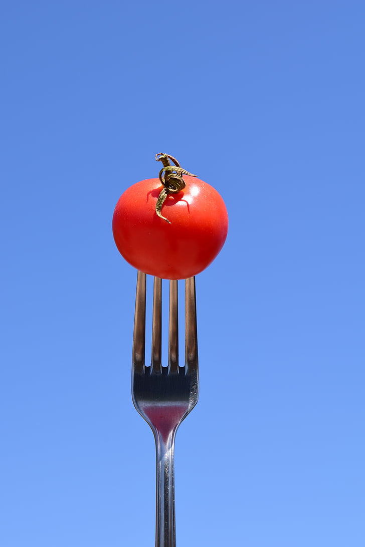 tomato, fork, eat, close, metal fork, cutlery, red
