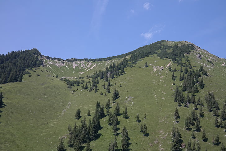 Iseler, góry, szczyt górski, Allgäu, Alpy Algawskie, krajobraz, Natura
