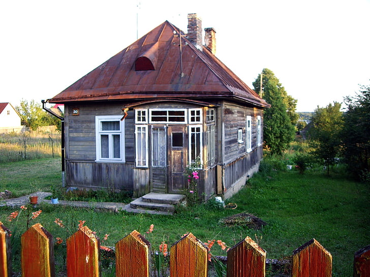 Bialowieza, naturlige, hus, grøn