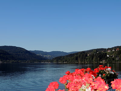 summer, water, nature, holiday, view, mountain, flowers