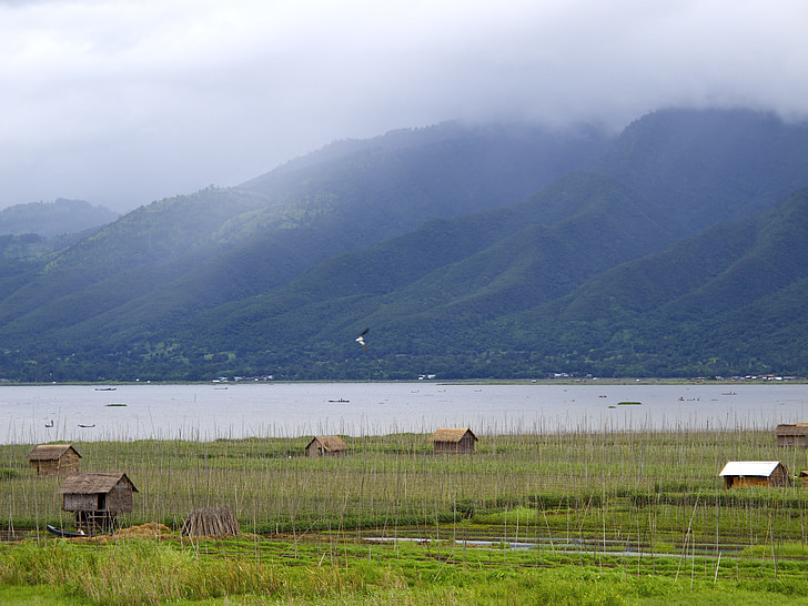 tó, Inle, Burma, táj, gólyalábasok