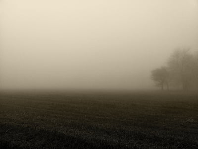 mgła, rano, atmosfera, nastrój, niebo, pole, obszarów wiejskich