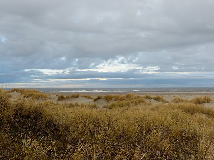 Island, Ida-Friisimaa, rannikul, Sea, Breeze, Beach, Horizon