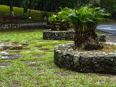 Parcul, El Salvador, copaci, Plaza, natura, restul