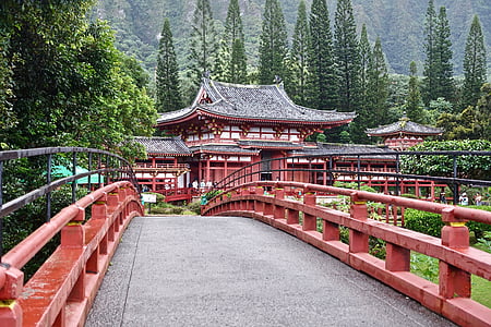 Bridge, japansk, tempelet, perspektiv, tre, arkitektur, tradisjonelle