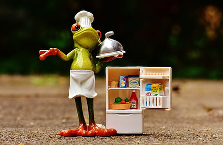 žaba, kuhanje, slika, hladnjak, Potrošni materijal, smiješno, slatka