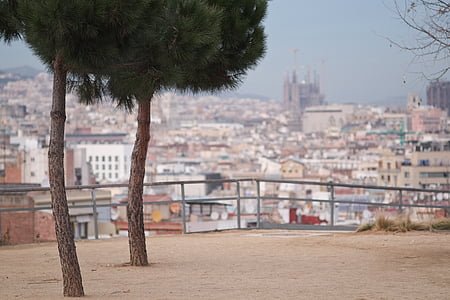 Barcelona, Sagrada familia, Spanien, Katalonien, Domkyrkan, staden
