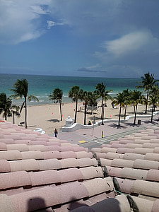 beach, palm trees, sand, palm, tropical, summer, sea