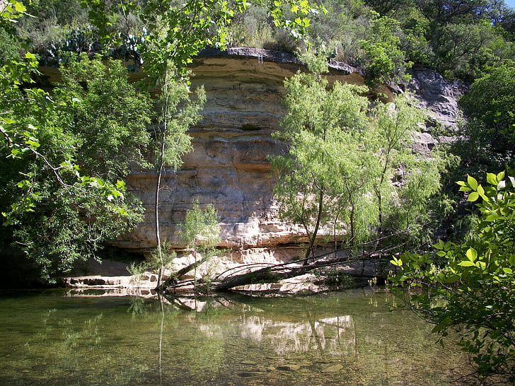 Creek, Austin, Texas, Rock, Wall, Woods, Stream