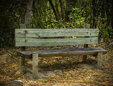 bank, stool, leaves, trees, mato, bench, nature