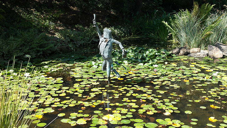 frog, statue, toast, lily pond
