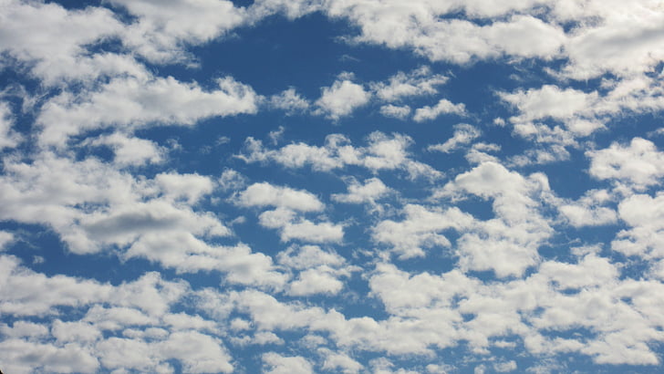Chmury Altocumulus, chmury, niebo, Altocumulus Borowik mrożony, wzór, tło