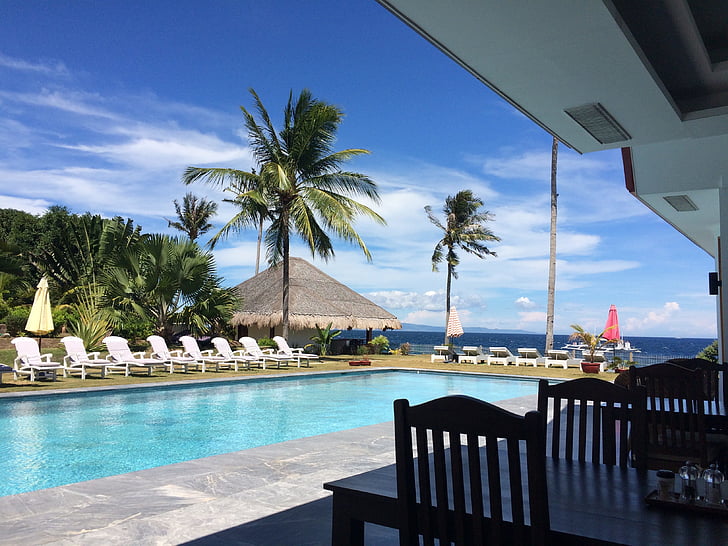 Filippiinit, duuman getty, tietää, koska, Sea dream resort, Palmu, allas, trooppinen ilmasto