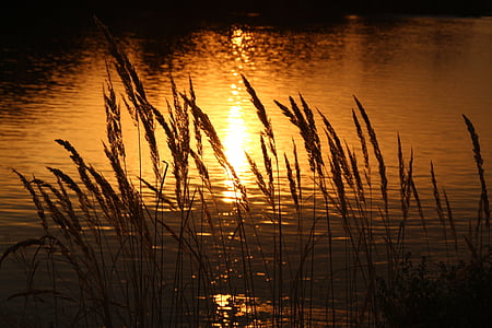 sunset, water, reflection, sun, in the evening, red, nature