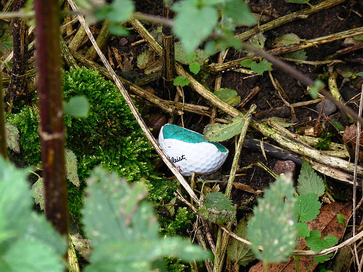 balle de golf, Bosquet, feuilles, Forest, art, au sol