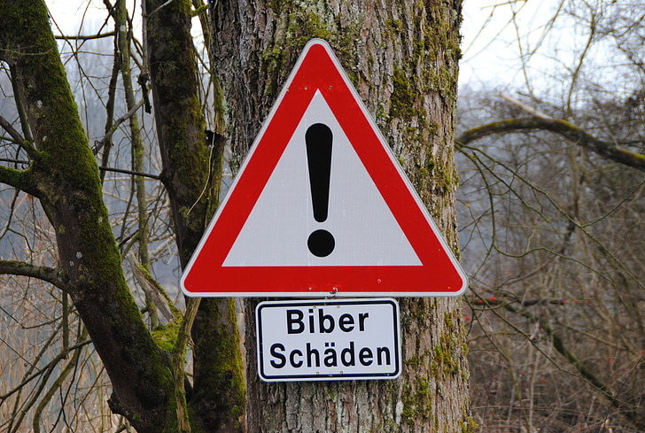 panneau de signalisation, dommages de castor, arbre, dans nauen, Inn, Bavière
