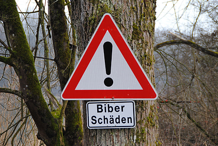 Straßenschild, Biber Schaden, Baum, in nauen, Gasthaus, Bayern