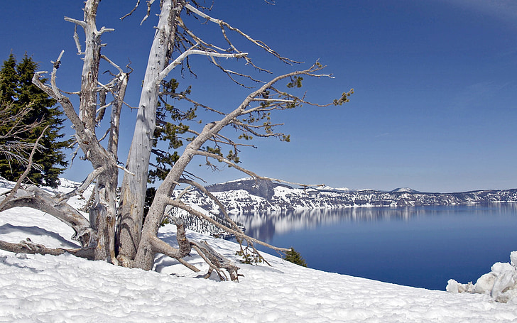 кратер, езеро, Орегон, пътуване, зимни, Национален парк, вулкан
