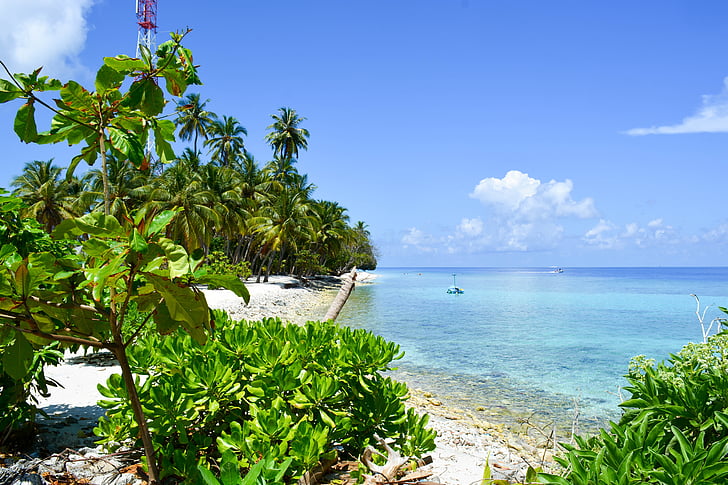 plaža, palme, morski pejzaž, Maldivi, Dharavandhoo, baa, more
