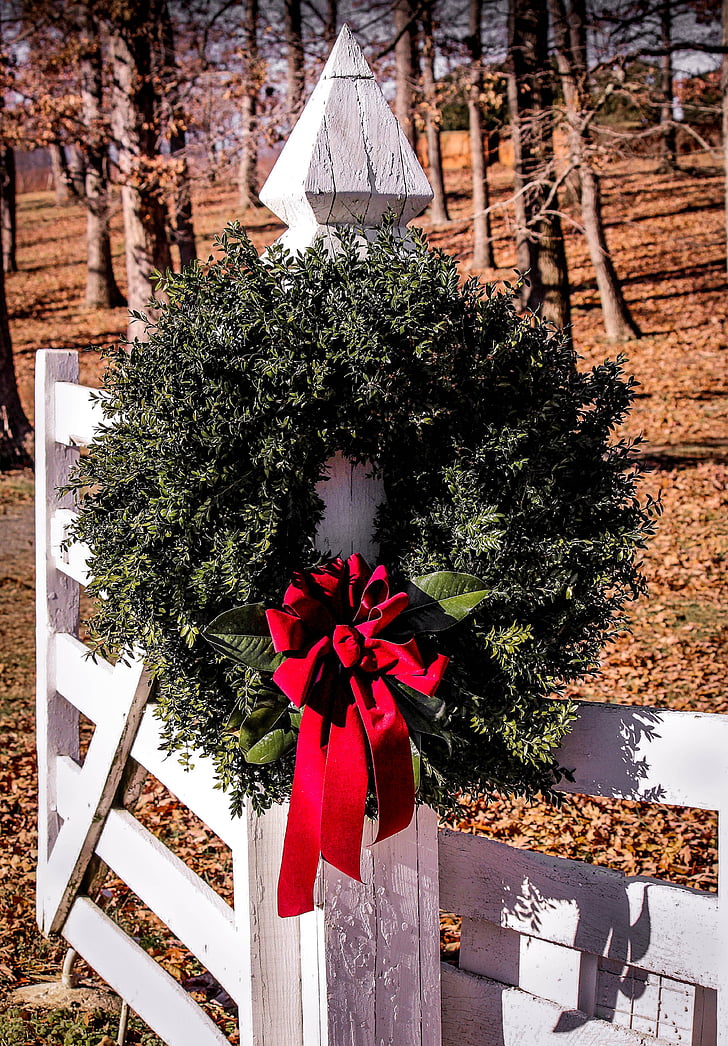 christmas wreath, gate, boxwood wreath, decoration, farm entrance, red ribbon, tree