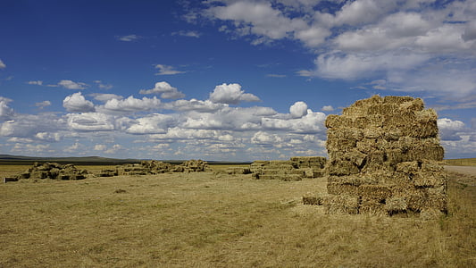 Prairie, pagliaio, cielo blu e nuvole bianche, Bale, agricoltura, fieno, Scena rurale