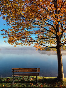 lake, tree, autumn, bench, fall, foliage, park