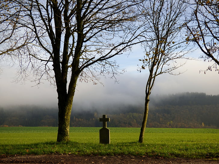 field cross, fog, trees, landscape
