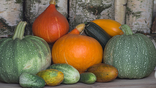 vegetables, pumpkins, cucumbers, autumn, harvest