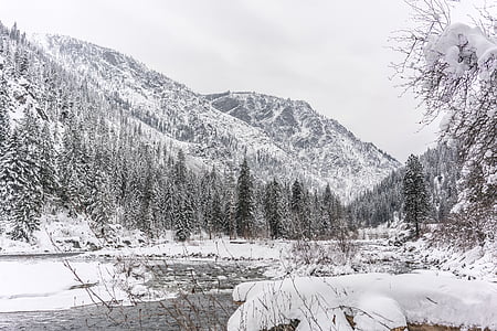 talvel, puu, jõgi, lumi